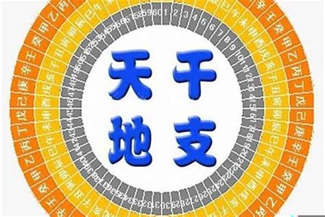 金水命|金水旺的八字分析 (八字金水旺是什么意思)